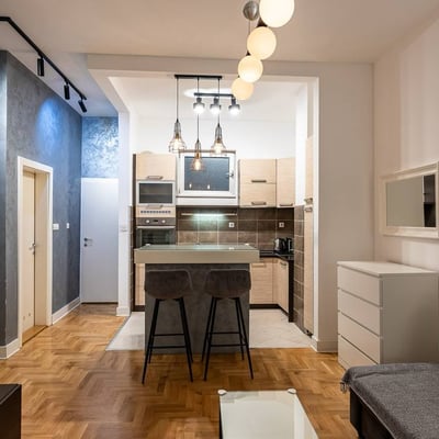 Аренда уютной 2-комнатной квартиры, 32 м², Врачар, Белград, Сербия